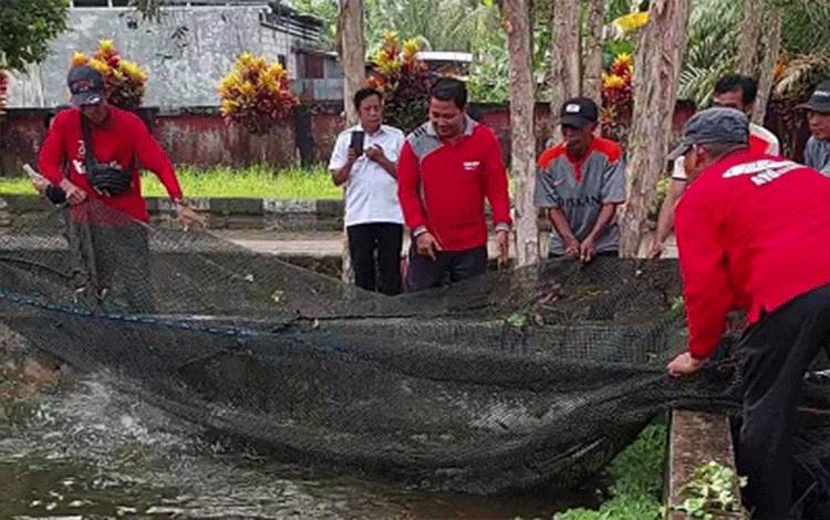 Budidaya Ikan Menjadi Peluang Usaha Menjanjikan di Kotim