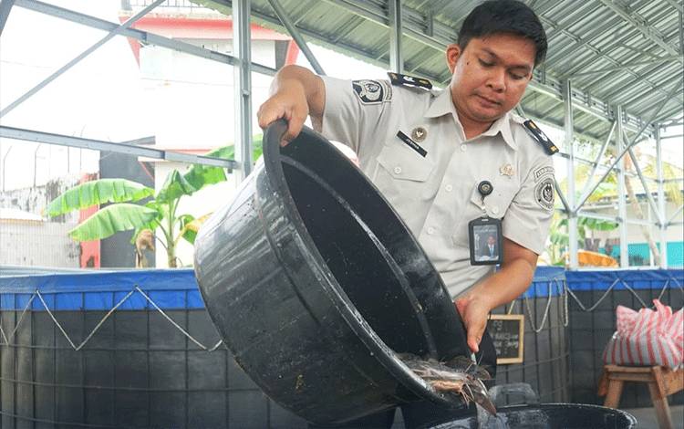 Rutan Kelas IIA Palangka Raya Gelar Panen Ikan Lele, Hasil Program Pembinaan Kemandirian Warga Binaan