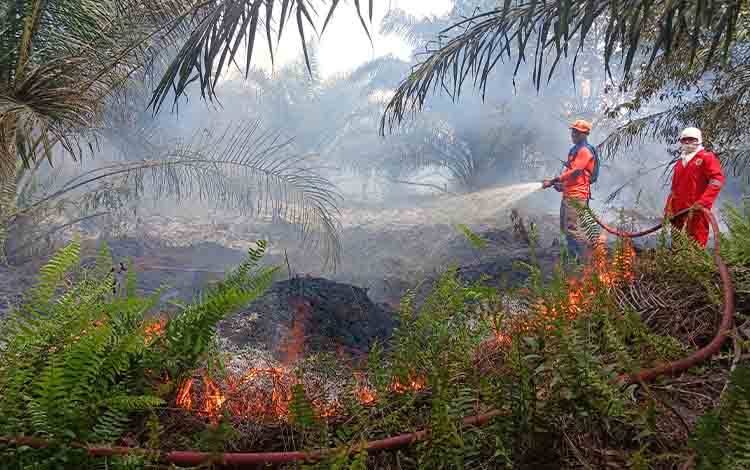 BPBD Kobar Padamkan Kebakaran Lahan di Kebun Warga
