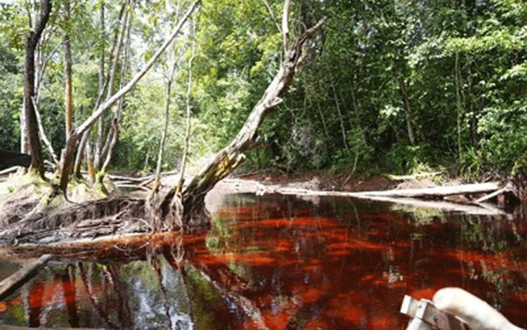 Eksotisme Danum Bahandang: Surga Tersembunyi Berair Merah Alami di Palangka Raya