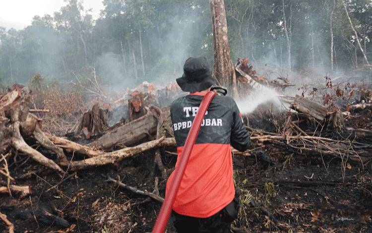 Kebakaran Lahan di Kotawaringin Lama, 5 Jam BPBD Kobar Berupaya Padamkan Api