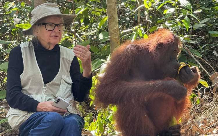 Birute Galdikas, Tokoh Pelestari Orangutan Meninggal Dunia