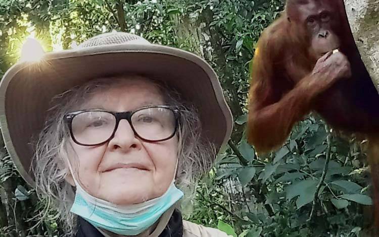 Kiprah Birute Galdikas di TNTP, Dedikasi Hidup untuk Konservasi Orangutan