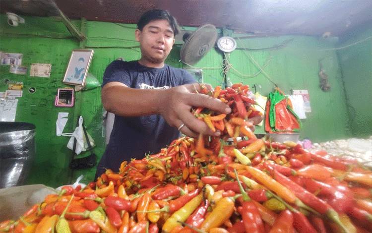 Harga Cabai Rawit di Sampit Berangsur Turun Usai Lebaran Tapi Masih di Atas Normal