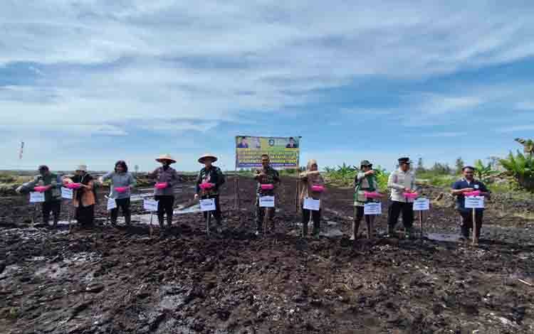 Pemkab Kotim Lakukan Tanam Serentak di Lahan Cetak Sawah Rakyat