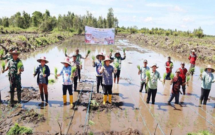 Wabup Seruyan Lakukan Tanam Perdana Program Cetak Sawah Rakyat