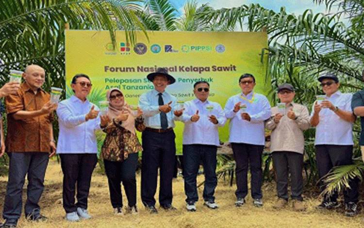 PalmCo Uji Serangga Penyerbuk Afrika Tingkatkan Produktivitas Sawit