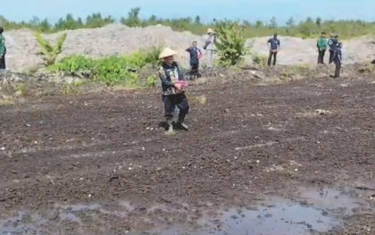 Kelompok Tani Mandiri Makmur Sampit Alihkan Lahan Sawah Jadi Hortikultura di Musim Kemarau