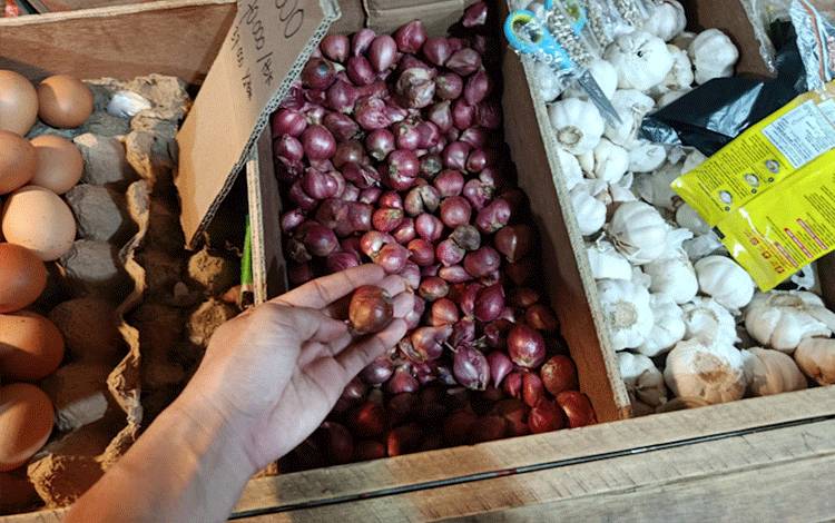 Legislator Palangka Raya Dorong Pengembangan Bawang Merah di Tangkiling dan Banturung