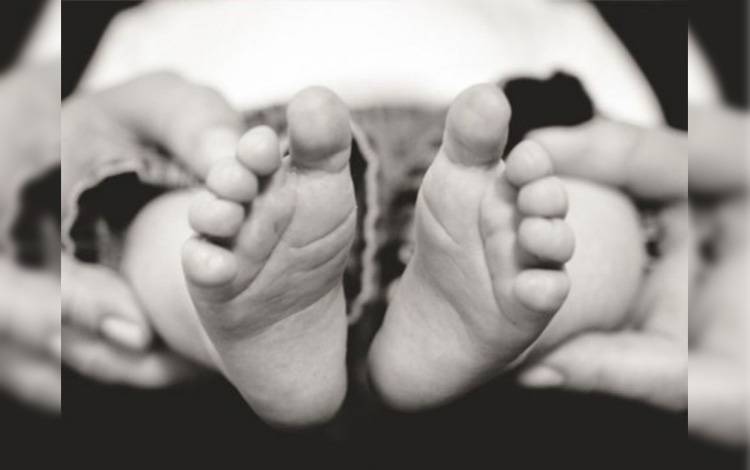 Dinkes Kotim Upayakan Angka Kematian Ibu dan Bayi Turun