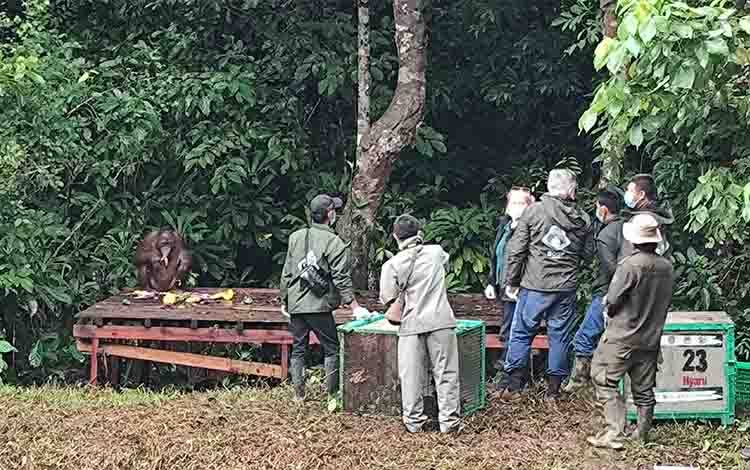 Pendamping Nilai Antusiasme Pekebun Tinggi Jelang Audit Sertifikasi Sawit