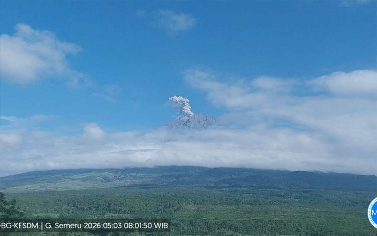 Gunung Semeru Erupsi dengan Tinggi Letusan Capai 900 Meter