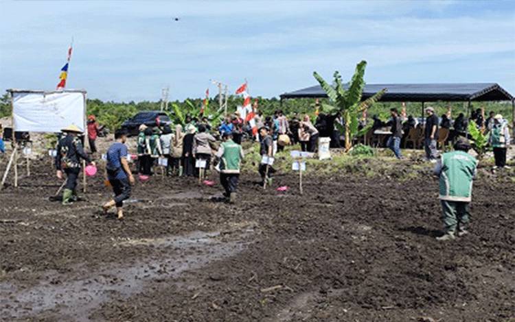 Petani Kotim Terima Bantuan Cetak Sawah 1.067 Hektare dari Kementerian Pertanian