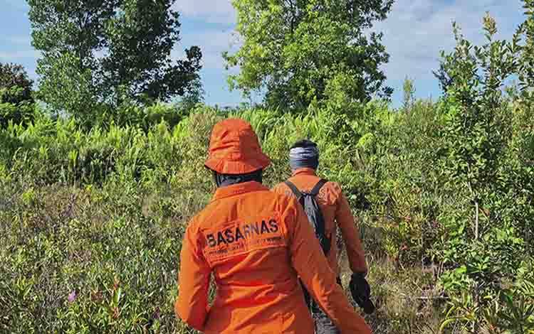 Kakek 78 Tahun Hilang di Hutan, Tim SAR Gabungan Lakukan Penyisiran