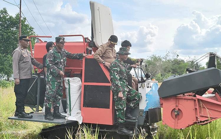 Bupati Barito Timur Hadiri Panen Padi di Desa Kalamus