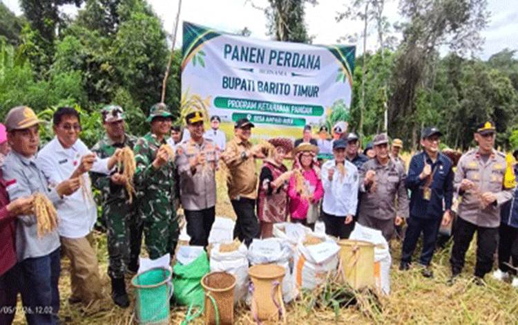 Panen Padi di Ampari Bura, Bupati Barito Timur Tegaskan Komitmen Ketahanan Pangan