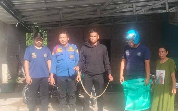 Masuk ke Pemukiman Warga, Tim Damkar Seruyan Berhasil Evakuasi Ular Kobra