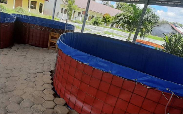 PLN Nusantara Power UP Pulang Pisau Kembangkan Budidaya Ikan di SMK Negeri 1 Pulang Pisau