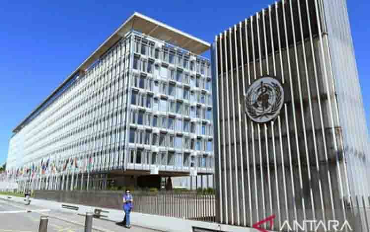 WHO: Risiko Penyebaran Hantavirus Relatif Rendah