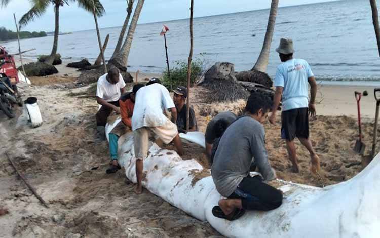 Antisipasi Abrasi Pantai, BPBD Kobar dan Warga Desa Keraya Gotong Royong Pasang Geobag