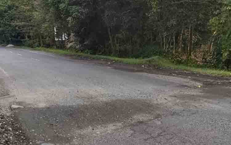 Pengendara Diimbau Waspada saat Lintasi Jalan Trans Kalimantan Km 16 Basarang Kapuas