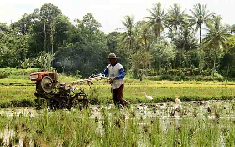 Pendidikan Vokasi Pertanian Langkah Tekan Pengangguran di Kalteng