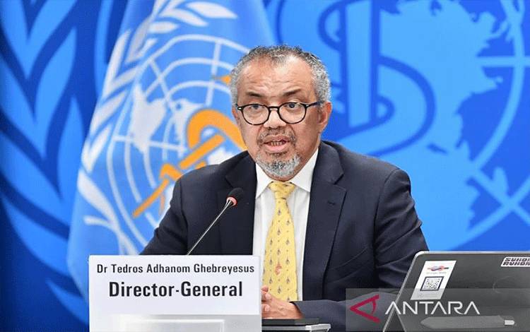 WHO: Tak Ada Laporan Kematian Baru Wabah Hantavirus Sejak 2 Mei