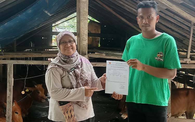 3.080 Hewan Kurban di Kobar Sudah Kantongi SKKH