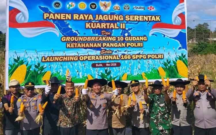Ketahanan Pangan Jadi Fokus, Kapolres Lamandau Pimpin Panen Raya Jagung Serentak