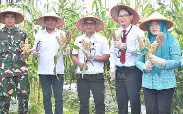 Modernisasi Pertanian Kunci Utama Hadapi Tantangan Inflasi Daerah