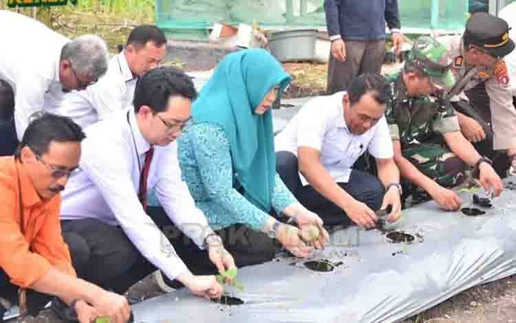 Palangka Raya Kembangkan Smart Farming Berbasis IoT untuk Petani Muda