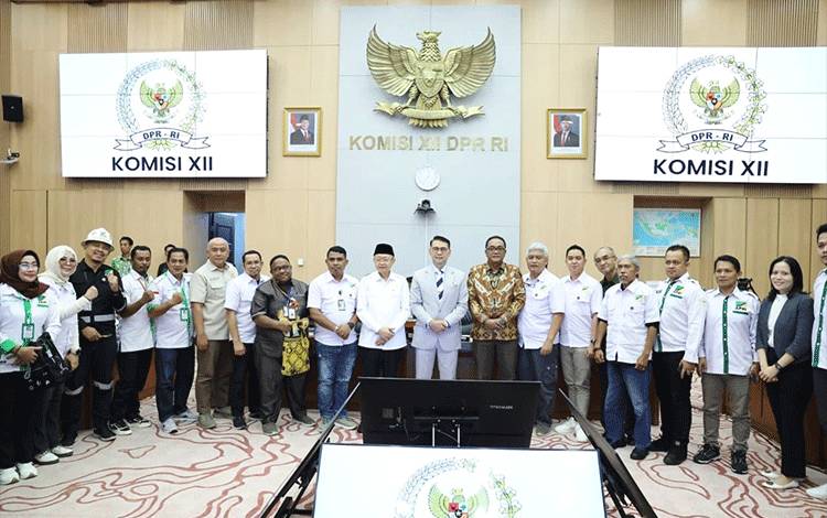 Pertemuan DPR RI dan APRI Hasilkan Percepatan Legalitas Pertambangan Rakyat