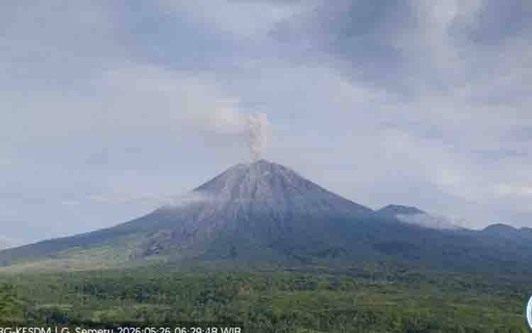 Semeru Erupsi Lima Kali dengan Tinggi Letusan hingga 1.000 Meter