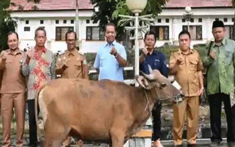 Pemkab Lamandau Terima Bantuan Hewan Kurban dari Pemprov Kalteng
