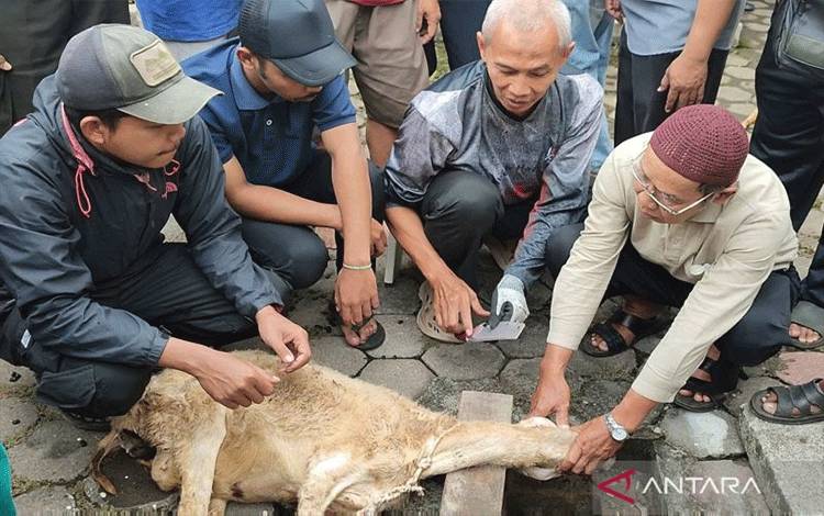 Perkumpulan Juleha: Daging Kurban Haram Tetap Halal Meski Pisau Tumpul