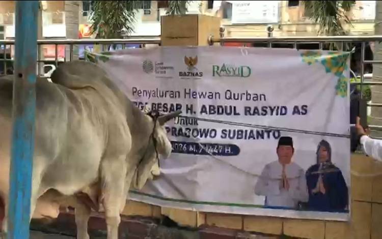 Pengusaha Kalteng H Abdul Rasyid AS Berkurban 27 Ekor Sapi di Palangka Raya