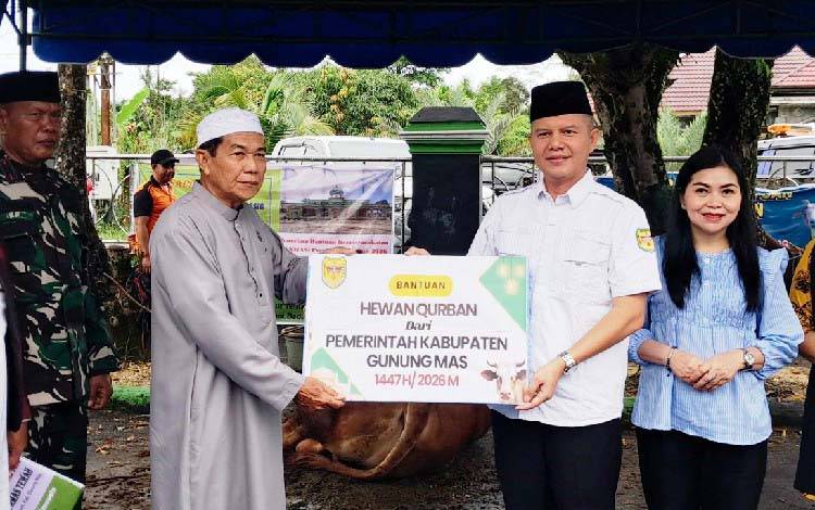 Pemkab Gunung Mas Salurkan 23 Ekor Sapi Kurban untuk 9 Kecamatan, Ada dari H Abdul Rasyid AS