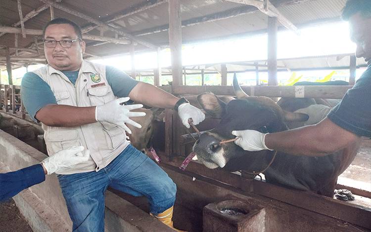 Masjid Al Farid Alokasikan Daging Kurban untuk Anak Stunting