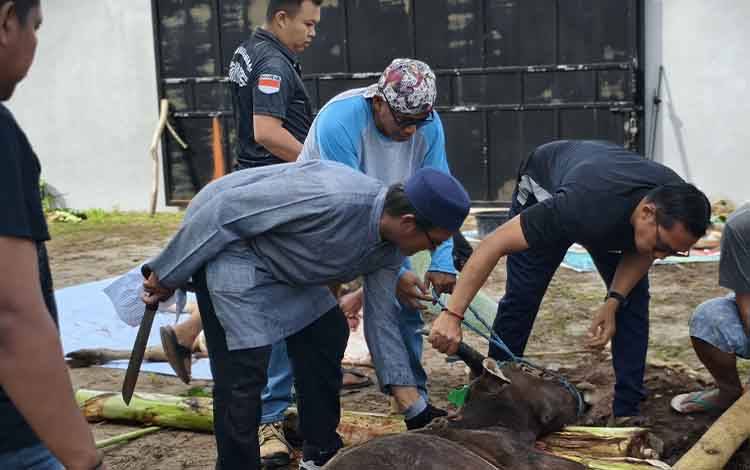 Berbagi kepada Sesama, NasDem Kalteng Tebar Daging Kurban