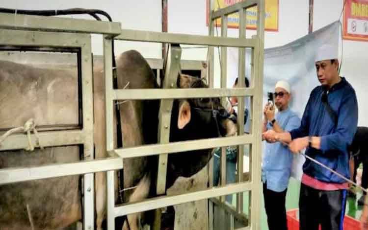 Barito Utara Gratiskan Penyembelihan Hewan Kurban di RPH Muara Teweh