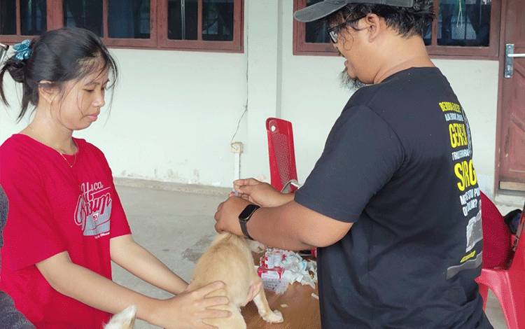 Sebanyak 70 Hewan Penular Rabies Divaksin di Gereja Marturia
