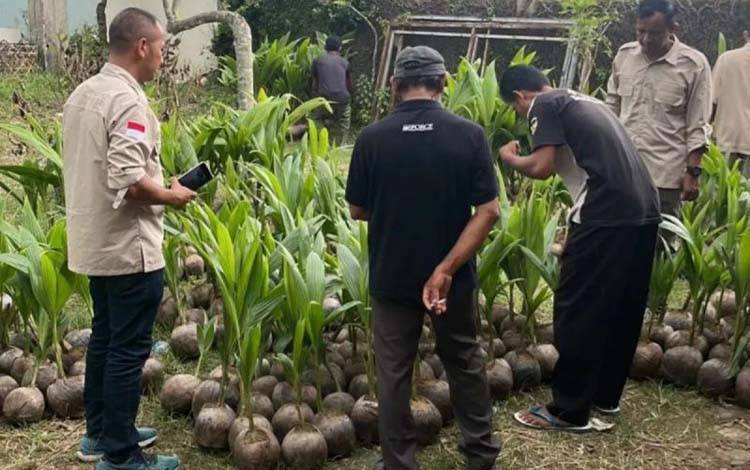 Pemerintah Siapkan 200 Juta Benih Unggul untuk Perkuat Hilirisasi Perkebunan
