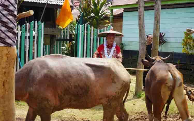 Pemkab Kotim Siapkan Tiwah Jadi Agenda Wisata Tahunan untuk Tarik Wisatawan