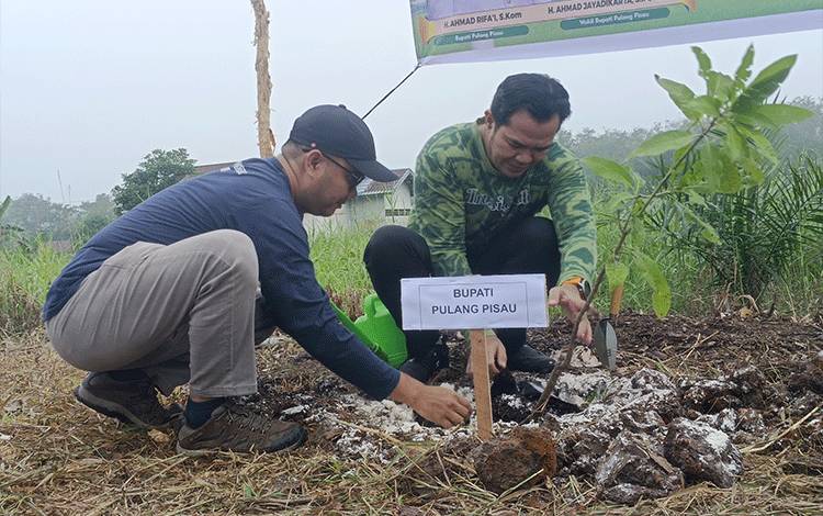 Bupati dan Wabup Pulang Pisau Tanam Pohon Peringati Hari Lingkungan Hidup Sedunia