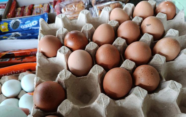 Produksi Telur Lokal Belum Mampu Penuhi, DPKUKMP Akui Palangka Raya Masih Bergantung Pasokan Luar Daerah