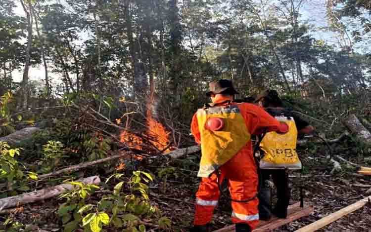 BPBD Barito Utara Padamkan Karhutla di Desa Trahean