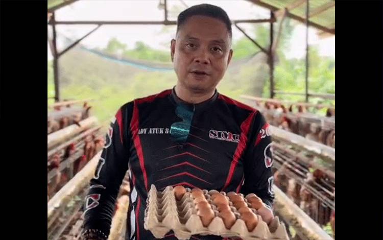 Peternak Ayam Telur Lokal Kotim Sampaikan Keluhan dan Harapan soal Harga Telur