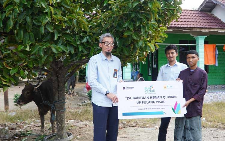 PLN Nusantara Power UP Pulang Pisau Salurkan Bantuan Hewan Kurban untuk Warga Desa Mintin