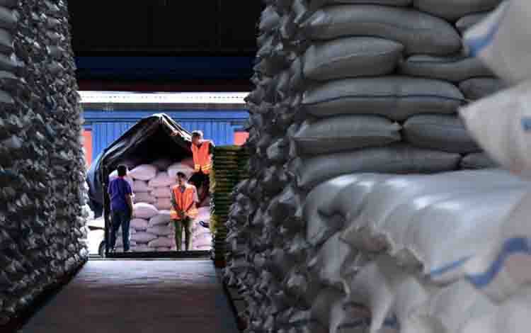 Bapanas: Produksi Beras RI Tertinggi di Asia Tenggara dan ke-4 Dunia
