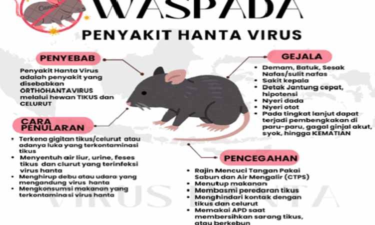Dinkes Kotim Minta Masyarakat Lindungi Keluarga dari Hantavirus dengan Langkah Pencegahan Sederhana